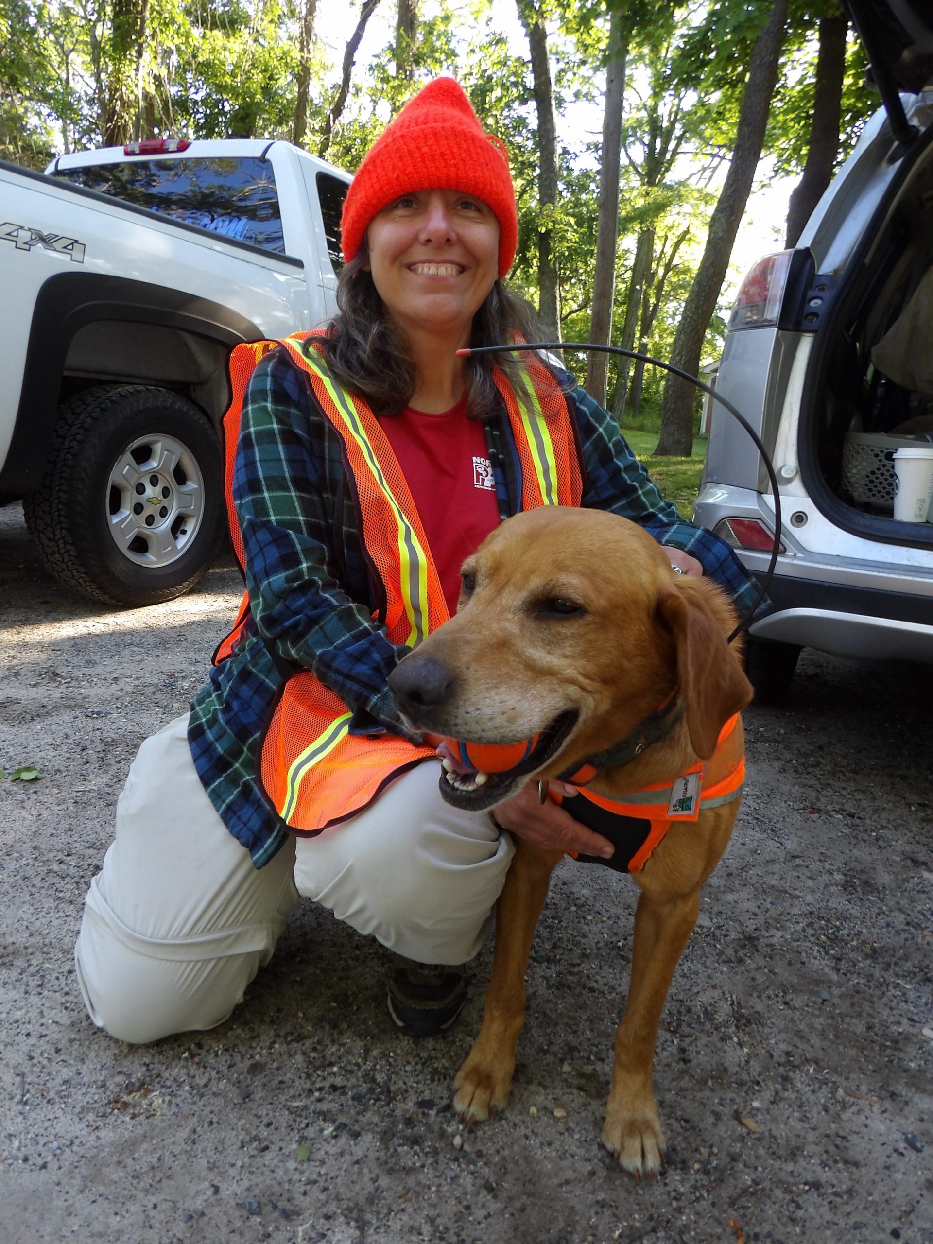 Wildlife Detection Dogs Support Eastern Box Turtle - North Fork Sun